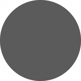 grey-circle-for-person.png